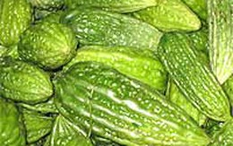 Chữa lở ngứa bằng cây cỏ